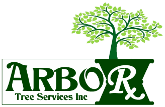 Welcome to ARBORx Tree Services